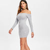 Knit Ribbed Mini Tight Dress