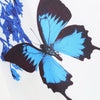 Sleeveless Butterfly Print Casual Dress
