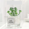 Artificial Succulent Plants Leaf Desktop Decoration Portable Stones Glass Bottle