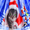 Christmas Cat Snowflake Mesh Panel Dress