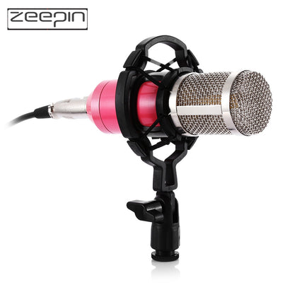 ZEEPIN BM - 800 Audio Sound Recording Condenser Microphone with Shock Mount