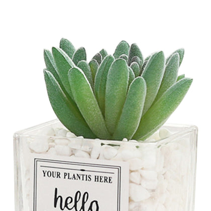 Artificial Succulent Plants Leaf Desktop Decoration Portable Stones Glass Bottle