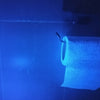 BRELONG UV Ultraviolet Light Portable Flashlight