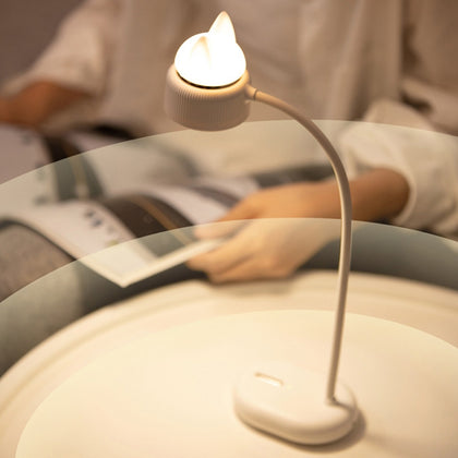 Double Light Source Three Gear LED USB Charging Cute Reading Table Lamp
