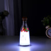 Milk Bottle Sleep Message Night Light Colorful Multi-ambient Lamp