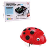 Electric DIY Science and Education Puzzle Self-loading Ladybug Line Induction Simulation Walking Assembly Insect Model Toy