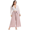 Plus Size Lace Pullover V Neck Lantern Sleeve Fashionable Women Crop Top