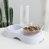 Cat Bowl 2-in-1 Food Water Feeder Bowl Automatic Waterer Bottle Inclined Design for Cats and Dogs