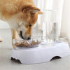 Cat Bowl 2-in-1 Food Water Feeder Bowl Automatic Waterer Bottle Inclined Design for Cats and Dogs