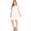 Plus Size Lace Solid Color Dress Women Long Sleeve Dress