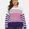 Plus Size Striped Colorblock Crew Neck Sweater
