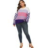Plus Size Striped Colorblock Crew Neck Sweater