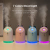 250ml Lovely Ultrasonic Humidifier with Colorful Mood Light