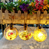 Christmas Tree Transparent Decorative Ball